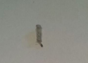 grau, 5 mm
