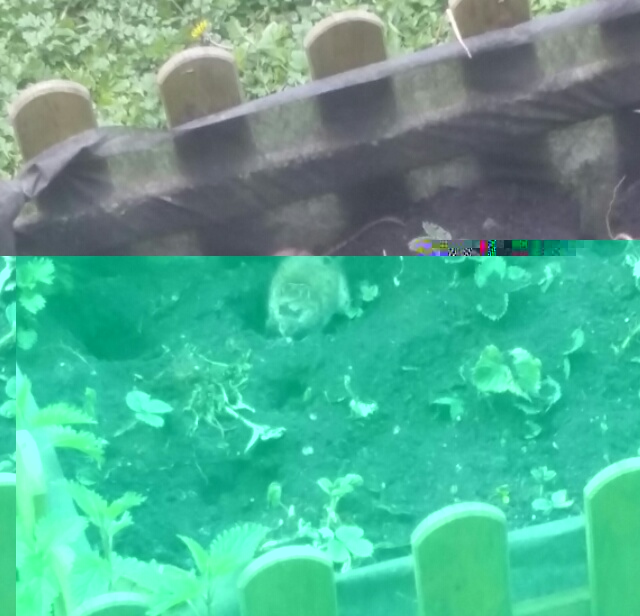2017042010552500.jpg