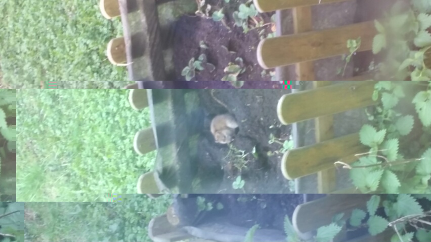 2017042010551200.jpg