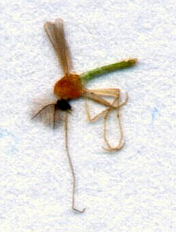 2013-08-06.jpg