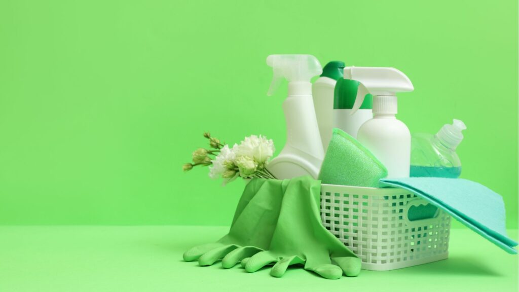Tipps zur Schädlingsprävention - Hygiene